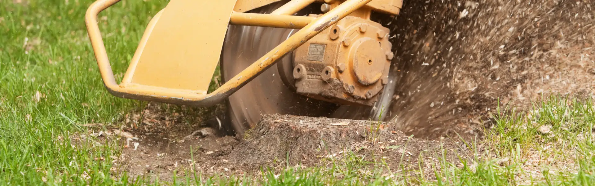 Tree Stump Grinding